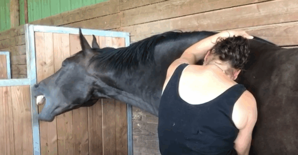 reiki beluga baille